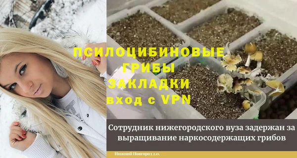 соль ск Медвежьегорск