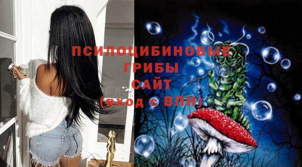соль ск Медвежьегорск
